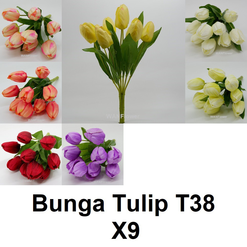 WANFLOWER Bunga Tulip T38 X9 * PUTIH mix PINK