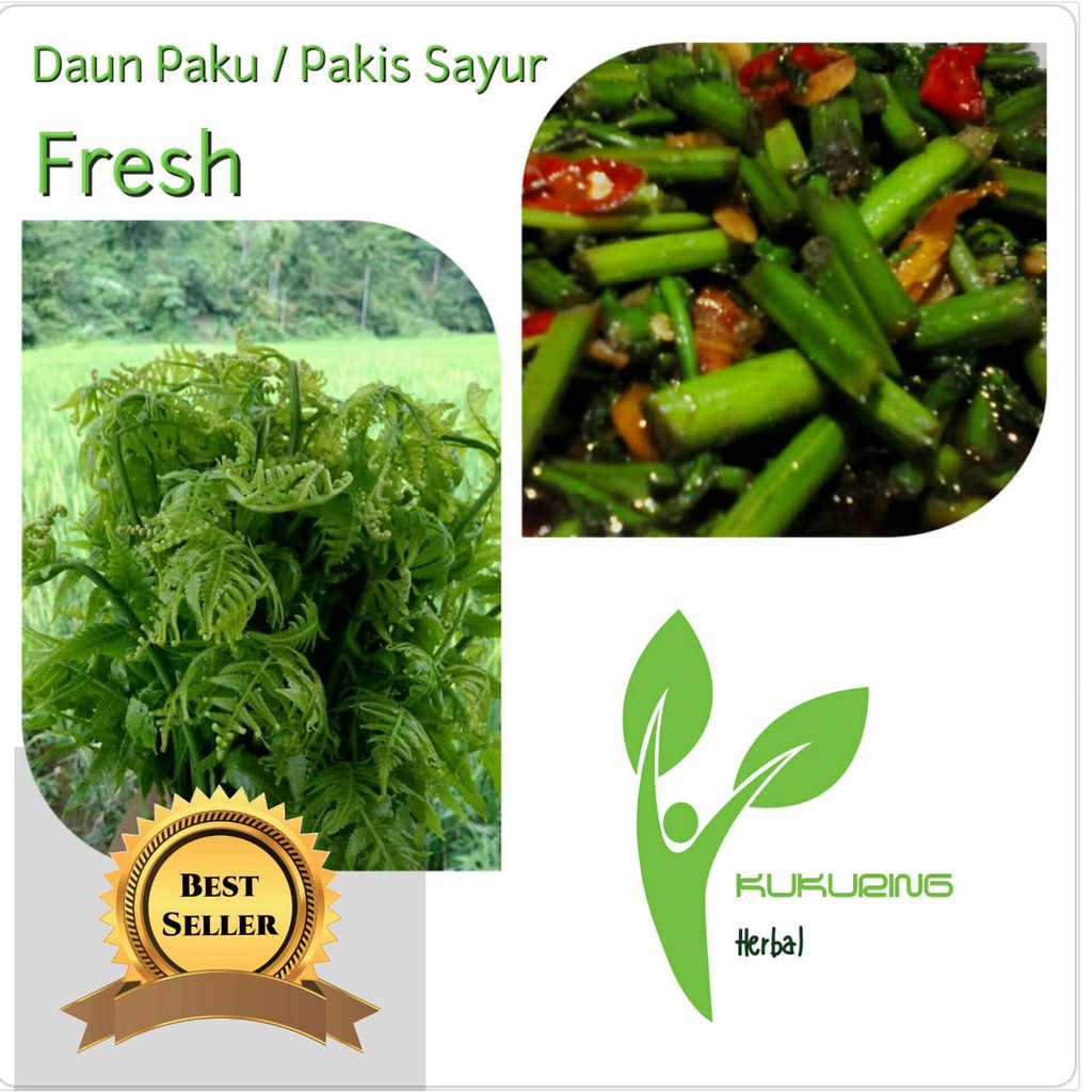 Daun Pakis Sayur Paku Segar Sayuran Langka Tanaman Obat Herbal Shopee Indonesia