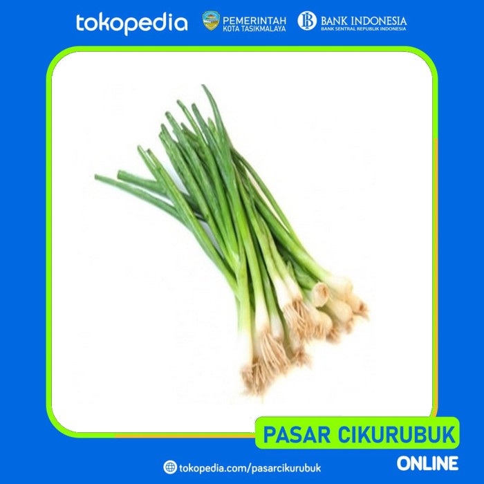 

Fe01Ggg Bawang Daun Segar Per 100 Gram F30E1F11