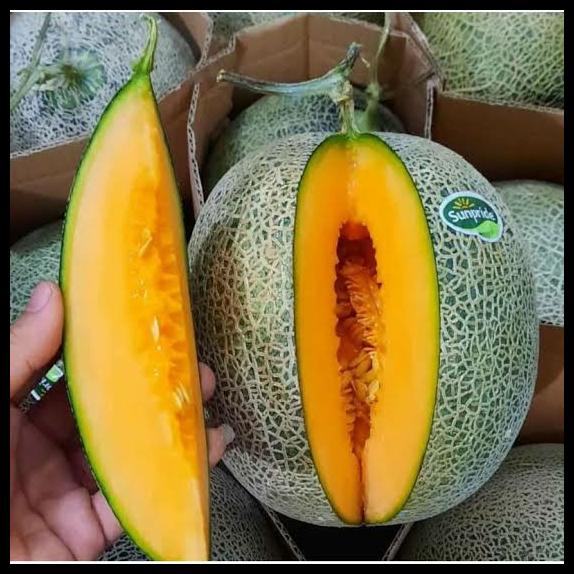 Buah Melon Orange / Rock Melon Premium Manis - Jonsmart