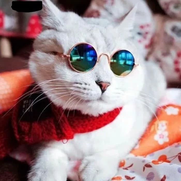 Pet Acessories &quot;SUNGLASSES&quot; Kacamata Anjing Kucing