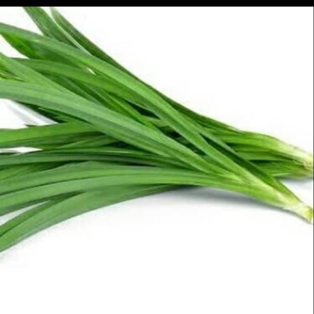 

Daun pandan 1 ikat