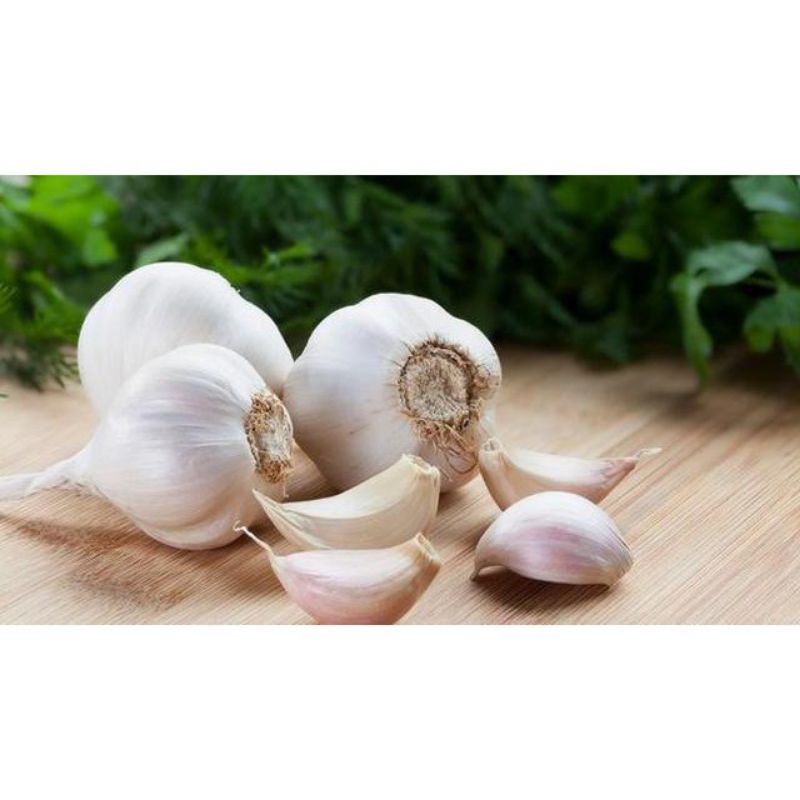 

Bawang putih segar kemasan 500gr