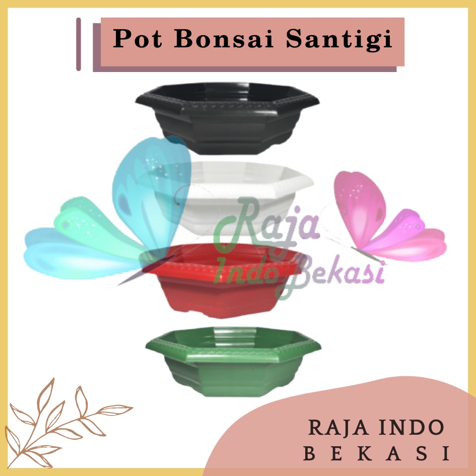 Pot Bonsai Santigi 30 Warna Warni Bonsai Segi 8 By Garden Of Love Pot Bonsai Kotak Ceper Kelapa