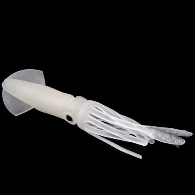 Umpan pancing model cumi cumi