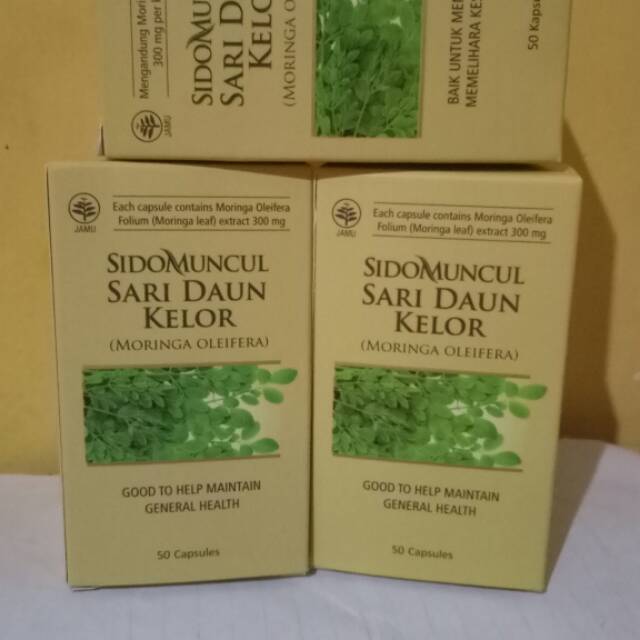 Sidomuncul DAUN kELOR