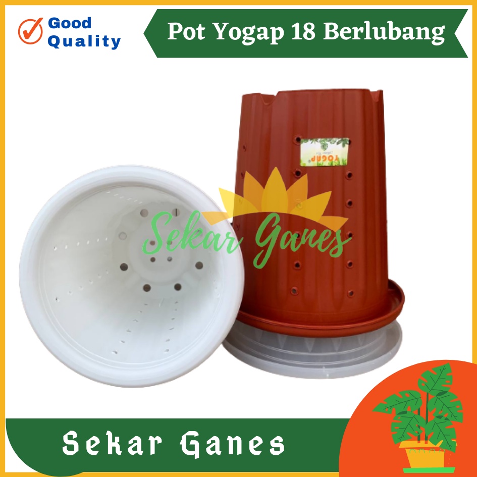 Sekarganes Pot Yogap 18 Putih Bening Transparan Merah Bata Merah Coklat Terracota Terracotta Berlubang POT BUNGA YOGAP 18 DIAMETER 21 cm BERLUBANG