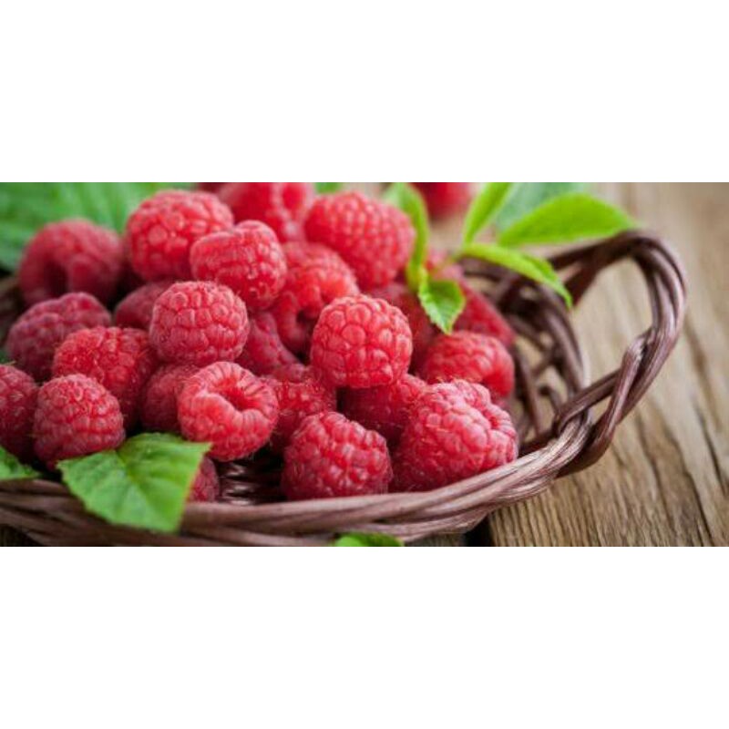 Benih Buah Unggul Raspberi Buah Raspberry