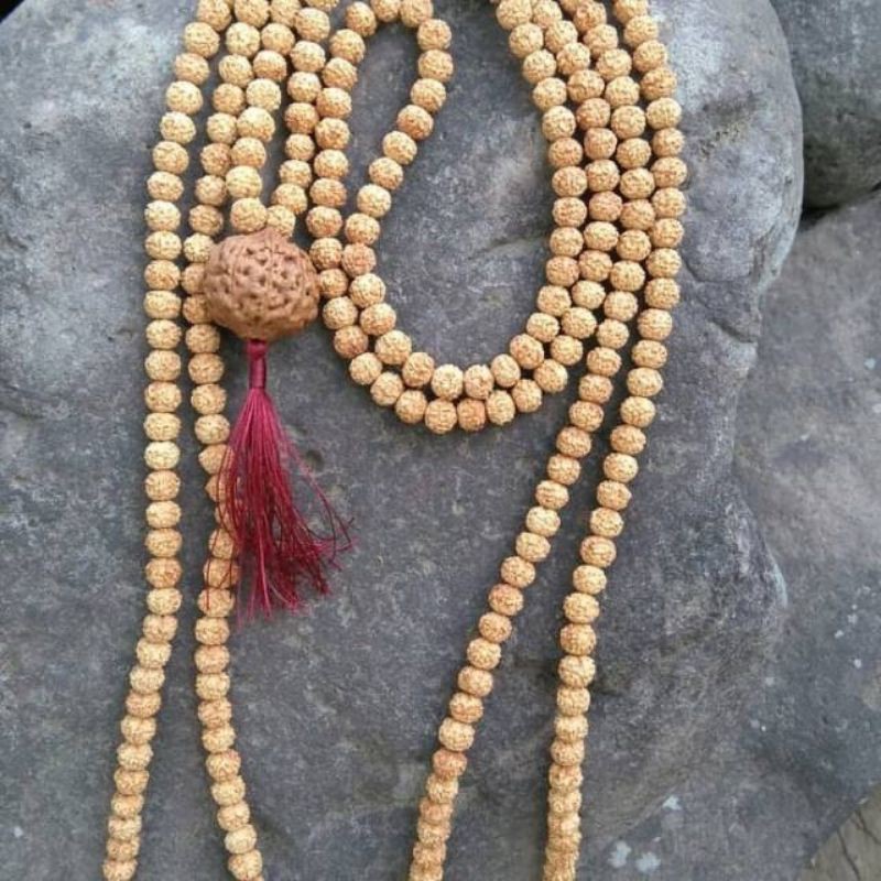tasbih jenitri rudraksha 99 tasbih biji rudraksha