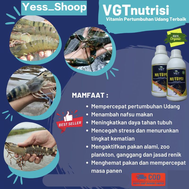 (TERLARIS)VGT PENGGEMUK DAN MENAMBAH NAFSU MAKAN UDANG AIR TAWAR & PAYAU