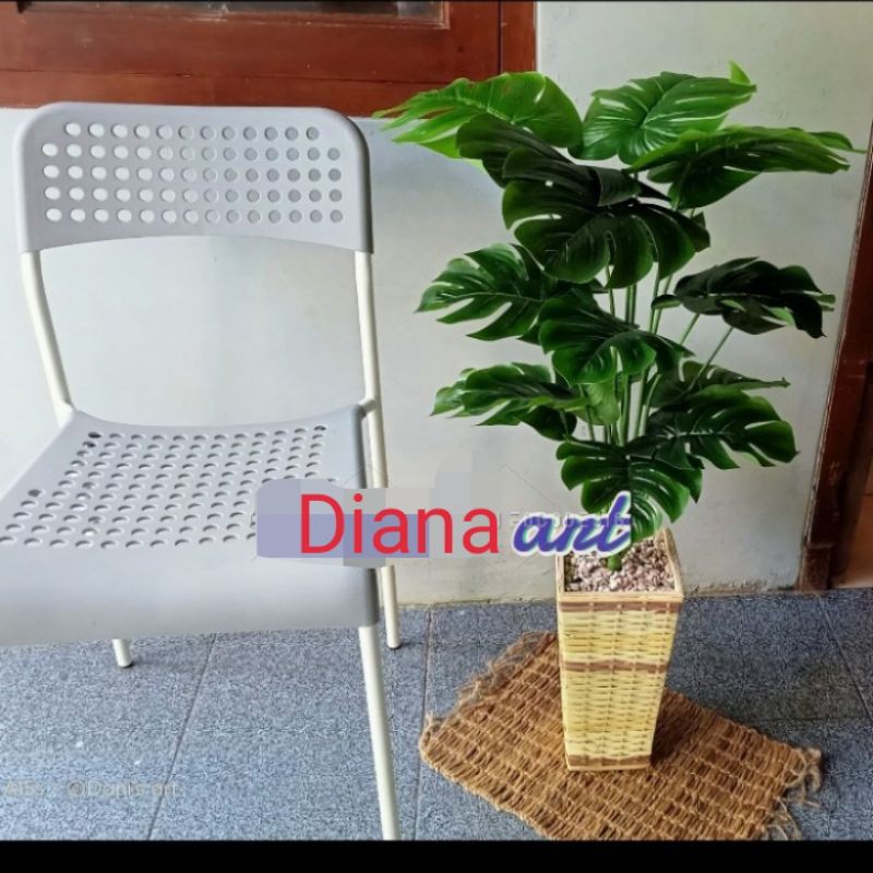 monstera latex#monstera jumbo#daun monstera#tanaman monstera#pohon palsu
