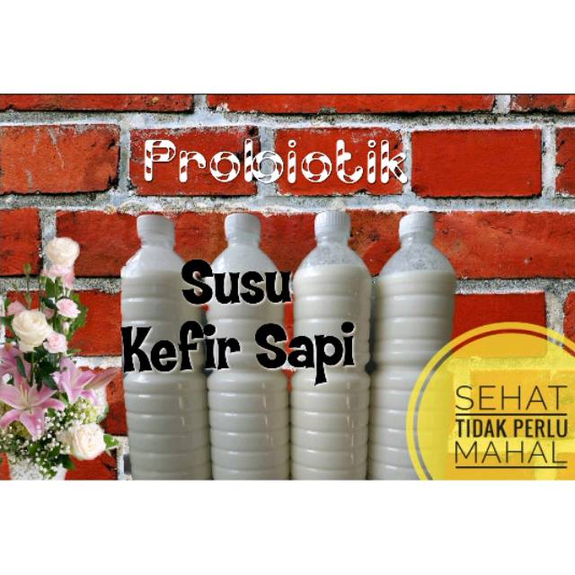 

SUSU KEFIR SAPI 0RIGINAL F48