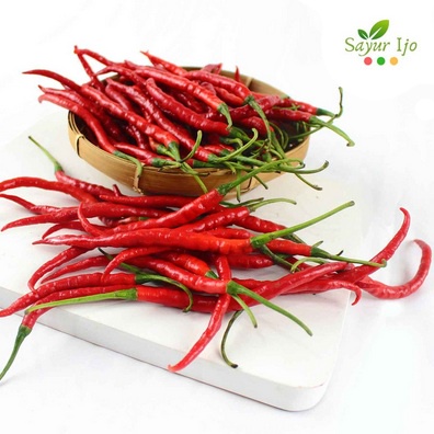 

Cabe Keriting Merah 125 Gram Fresh Cabai Red Chili Sayur Hijau Sambal Sambel Pedas Segar