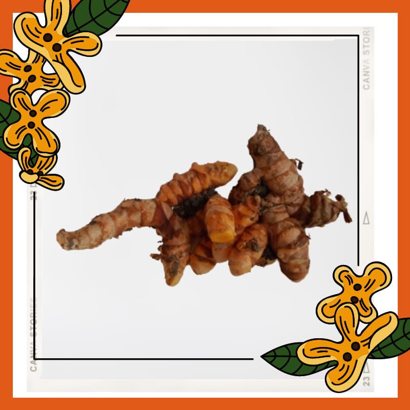 

Kunyit/kunir kuning 1/2 kg 500 gr murah bagus super