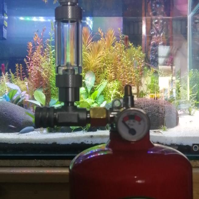 tabung co2 cisod diy aquascape