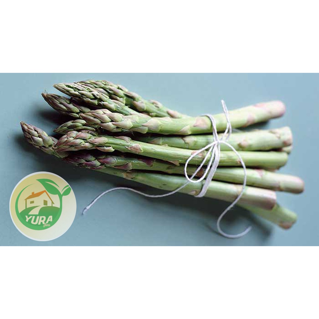 

ASPARAGUS Organik 100% Sayur Segar Organic