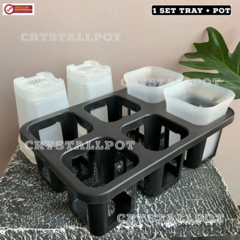 1 set Tray + POT BUNGA NKT KOTAK 7 CM BENING TRANSPARAN | tray semai bibit