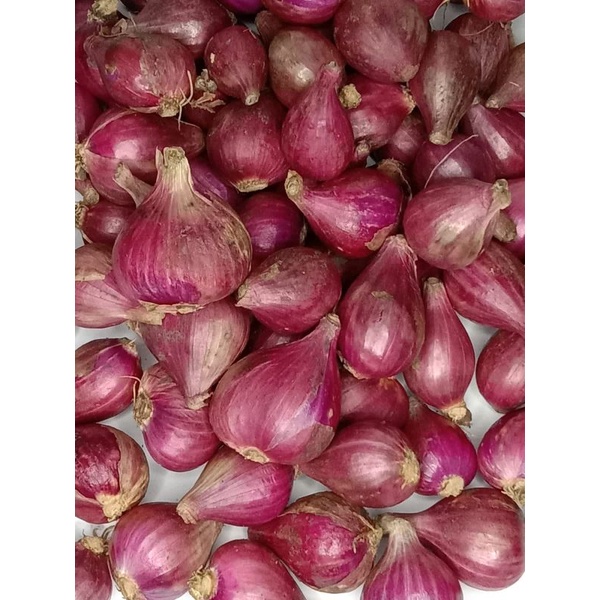 

Bawang Merah Brebes Sedang 1kg