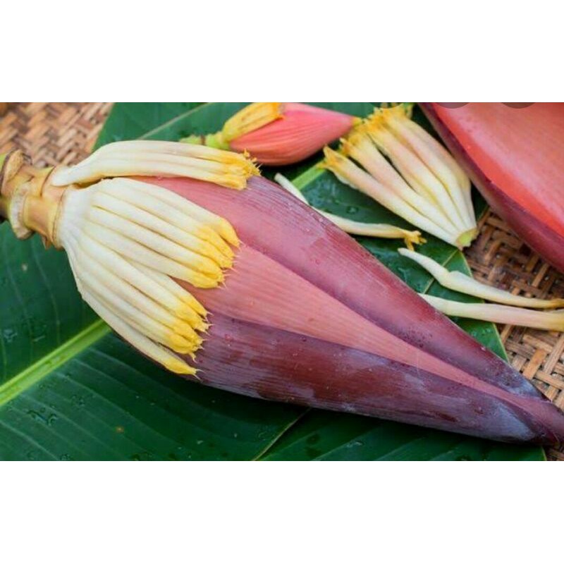

Jantung Pisang 1 pcs