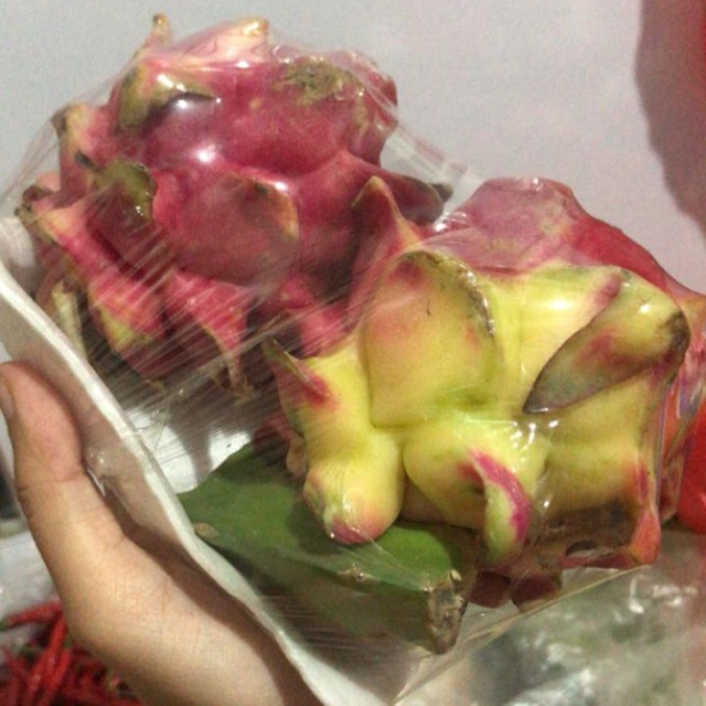 

Buah naga