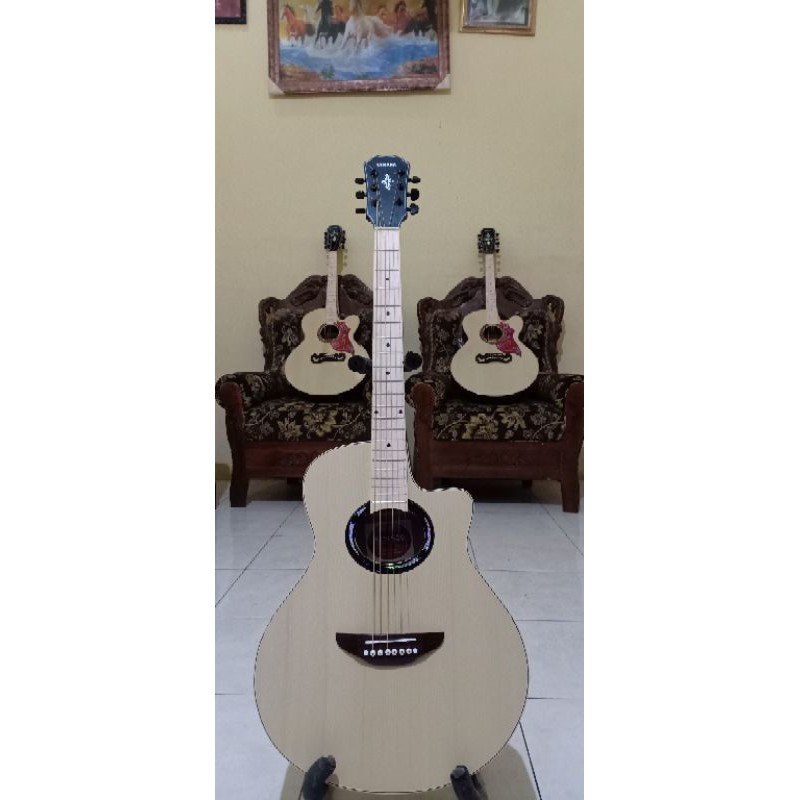 gitar apx500