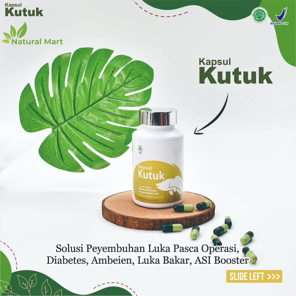 Kapsul Kutuk - Kapsul Pasca Operasi ASLI - Ekstrak Albumin Albusmin Sari Kutuk Ikan Gabus Luka Cepat Kering Asi Booster Keloid