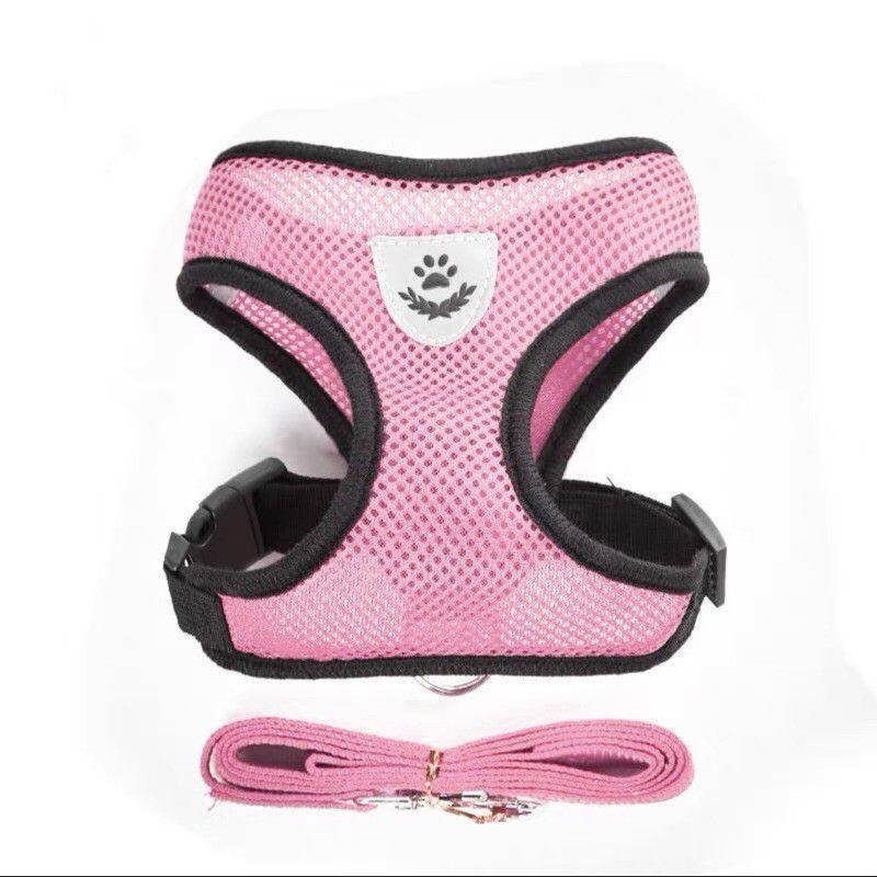 ROMPI HARNESS + TALI TUNTUN CAT DOG LEASH