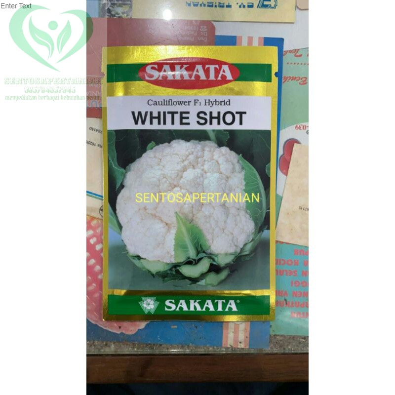 benih sayuran bunga kol hibrida f1 cauliflower WHITE SHOT 10gr dari SAKATA SEED