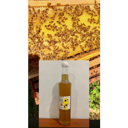 

Madu Murni Bunga Karet dan Bunga Kopi