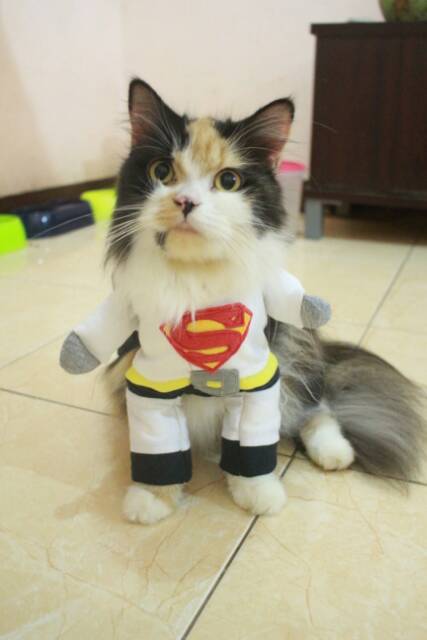 Kostum white superman untuk kucing dan anjing / kostum superhero hewan size S M L XL
