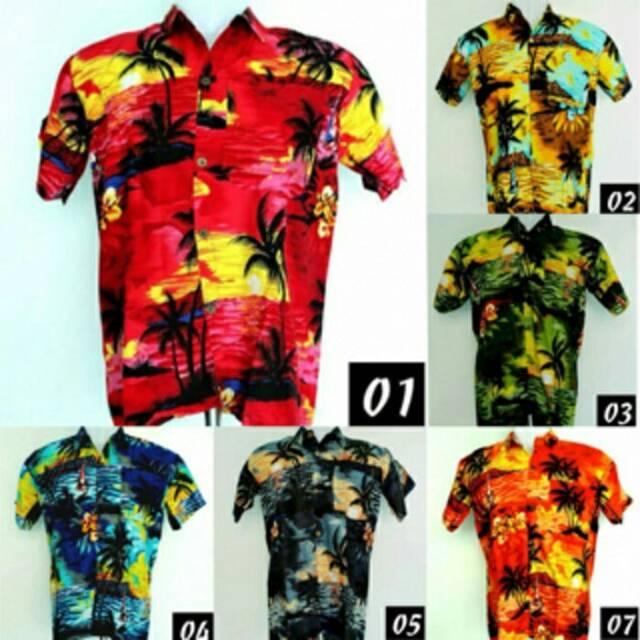 Kemeja hawai /kemeja hawai kelapa