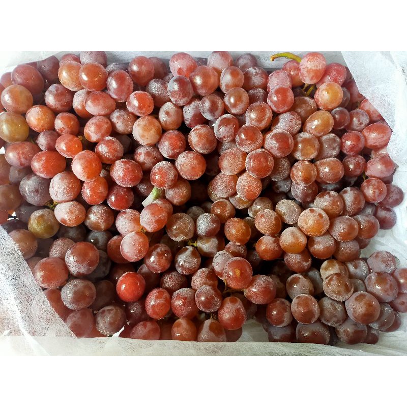 

anggur merah 1 kartoon berat kuranglebih 6kg