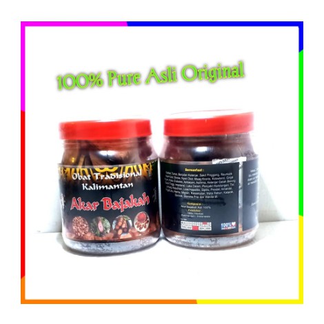 Obat Tradisional Kalimantan Asli Banyak Manfaat AKAR BAJAKAH