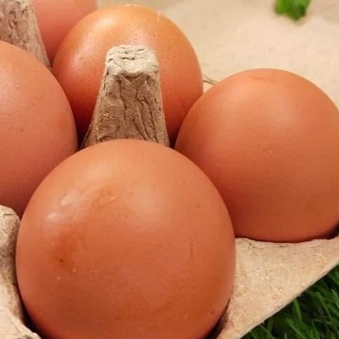 ⅎ PAPER EGG 6 LUBANG / BOX TELUR KARTON 50 PCS ►