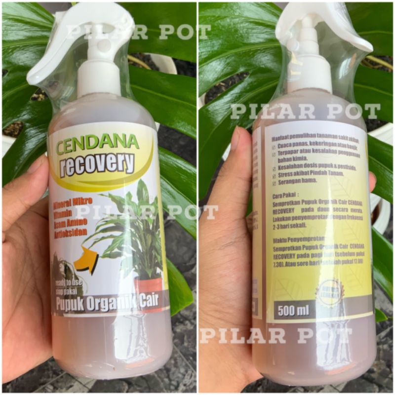 POC CENDANA RECOVERY 500 ML PUPUK ORGANIK CAIR PEMULIHAN TANAMAN SIAP PAKAI - CENDANA RECOVERY