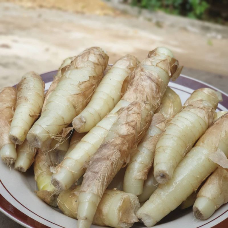 Jenang Gemi 30 sachet, terlaris, asli, solusi maag asam lambung-8