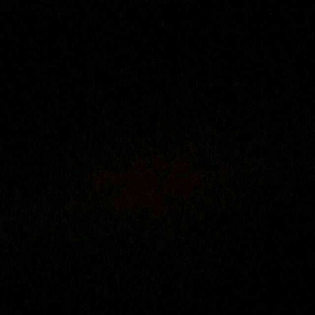 Timbangan Dapur Digital Sf 400 (5kg)