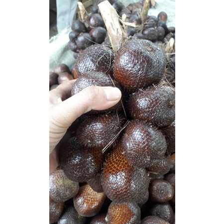

salak pondok madu 1kg