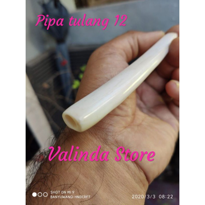 

pipa tulang sapi segi6