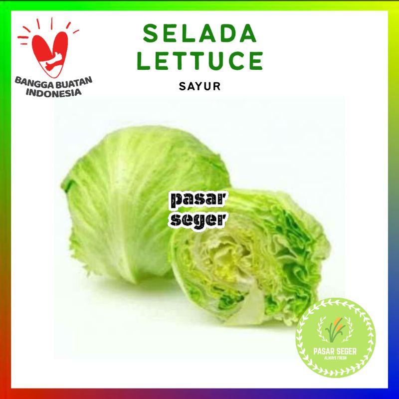 

selada lettuce - lotus [1 pcs]