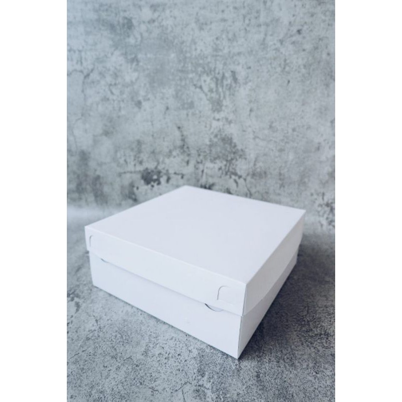 Box Nasi/Kotak Nasi Ukuran 20x20x8 cm