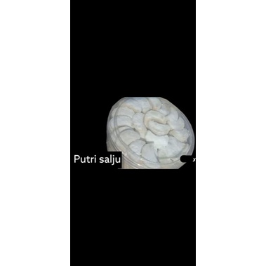 

PUTRI SALJU