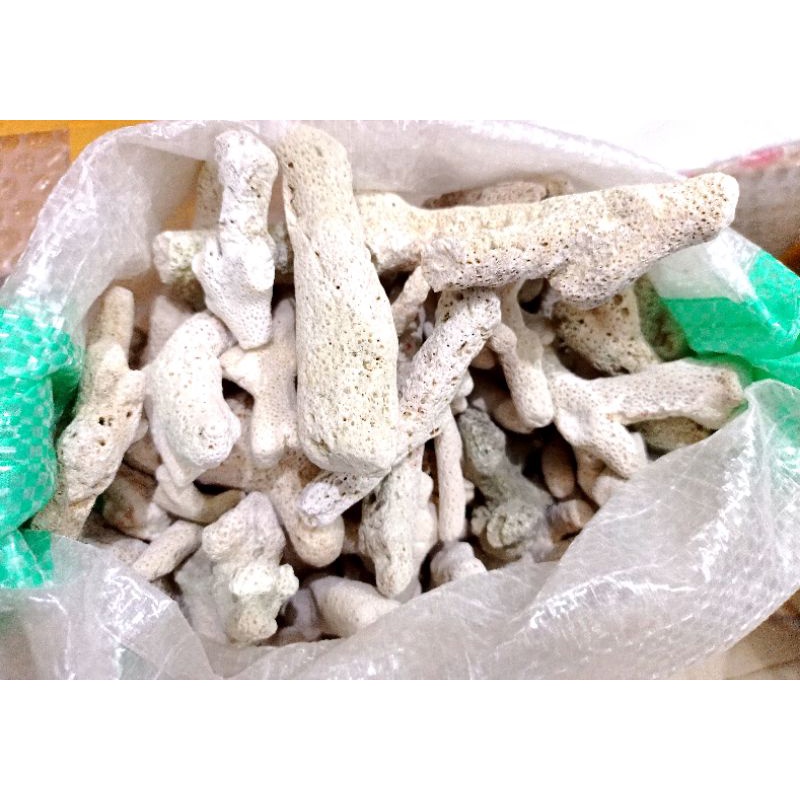 Promo murah Media filter kolam aquarium Karang Jahe 1kg