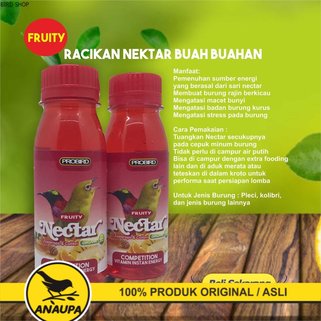 NEKTAR KOLIBRI PLECI UNTUK HARIAN DAN LOMBA BUAH BUAHAN