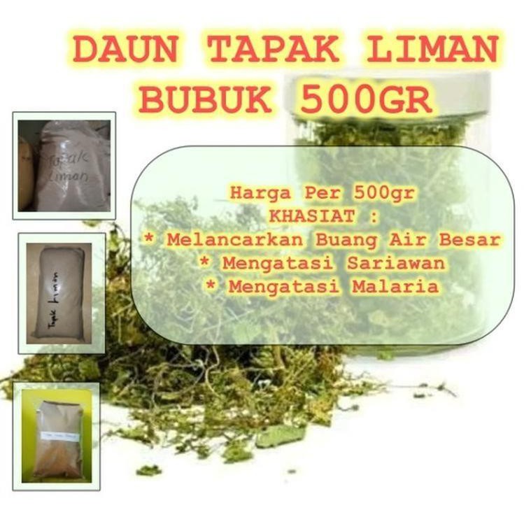 

Daun Tapak Liman Bubuk Serbuk Murni 500gr | Mengatasi Diare