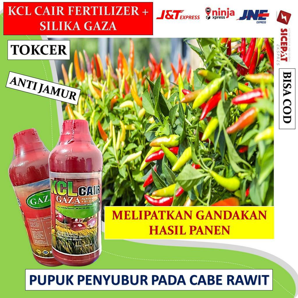 pupuk KCL CAIR FERTILIZER + SILIKA GAZA 500 ml bosster cabe merah terbaik - pupuk ajaib pelebat cabe