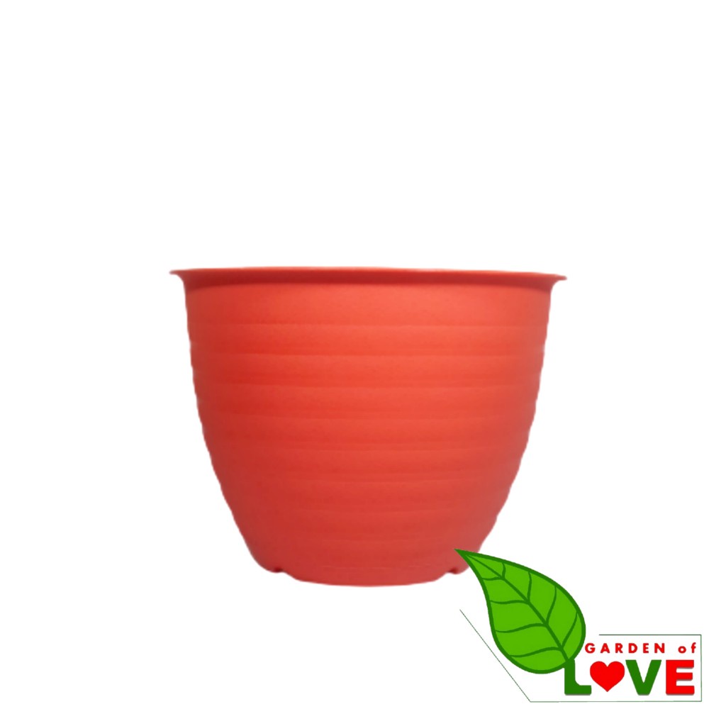 Pot Lumba 28 Putih Diameter 24 Cm Motif Tawon - Pot Bunga Plastik 24cm Bunga Lidah Mertua Aglonema