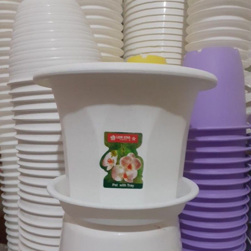 POT ANGGREK/MAWAR + TATAKAN LION STAR