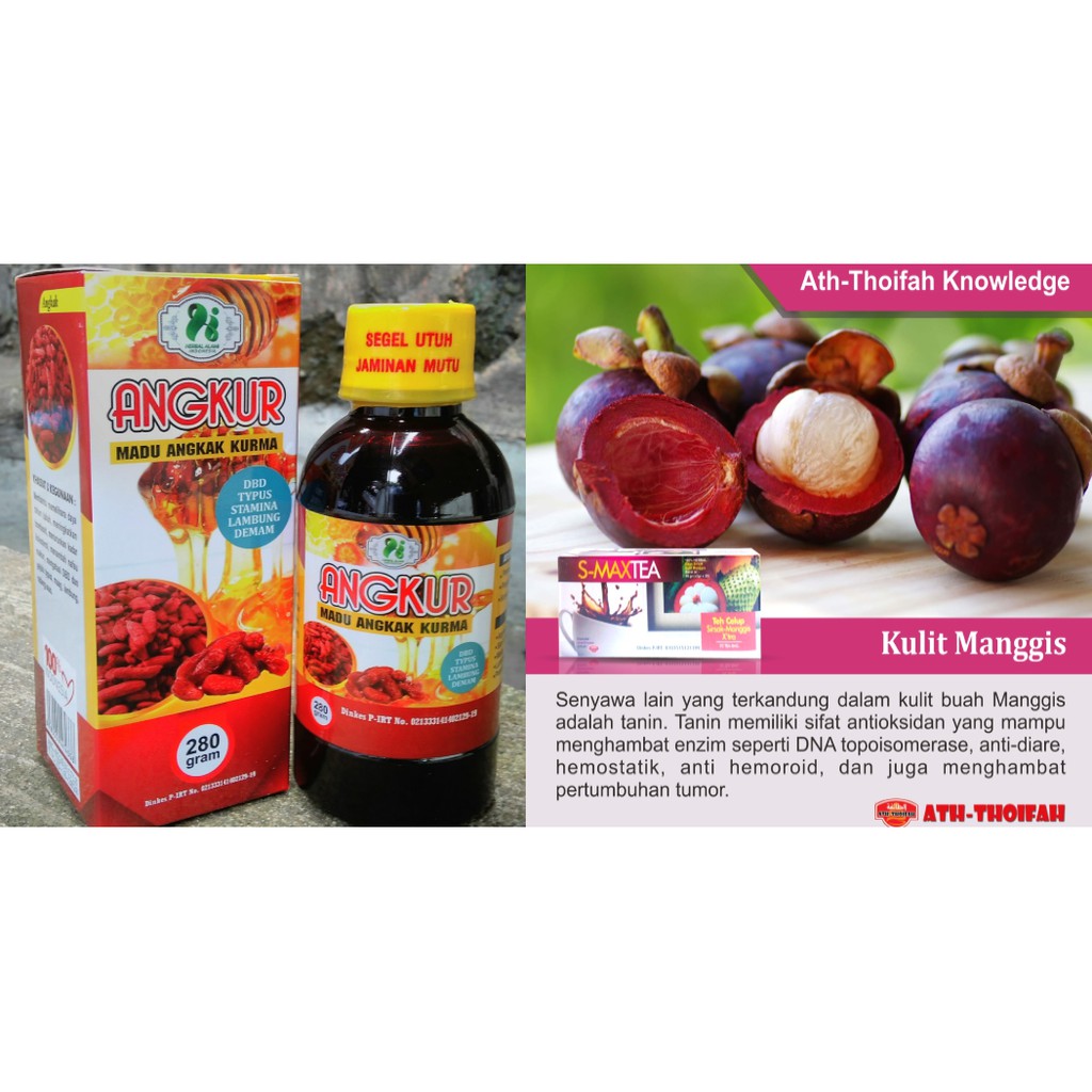 

Angkur plus S-max tea