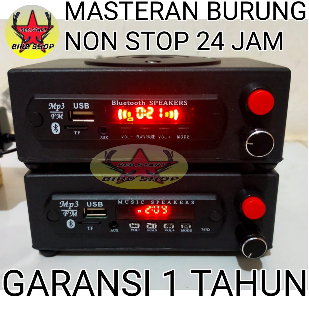 Masteran burung sonic master 24 jam nonstop